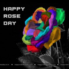 Rose Day