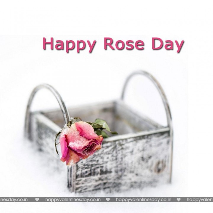 Rose Day – happy valentine day poems