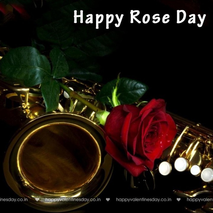 Rose Day – happy valentines day pics