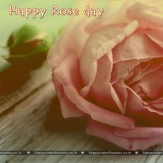 Rose Day – e greeting cards