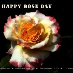 Rose Day – happy valentines day to everyone