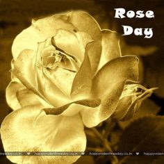 Rose Day – thank you ecards free