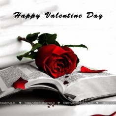 Happy valentines day my friend