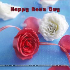 Rose Day – happy valentines day love poems