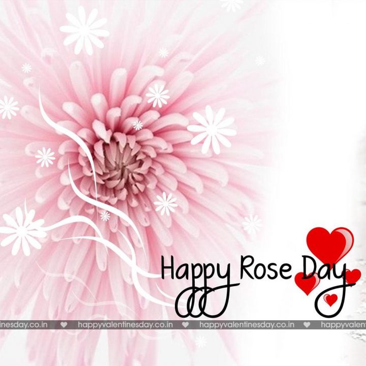 Rose Day