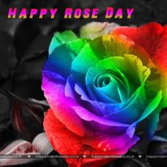 Rose Day – happy valentines day sms hindi