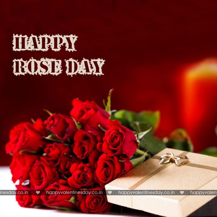 Rose Day