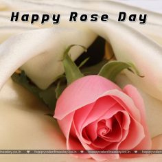 Rose Day – photos of happy valentines day