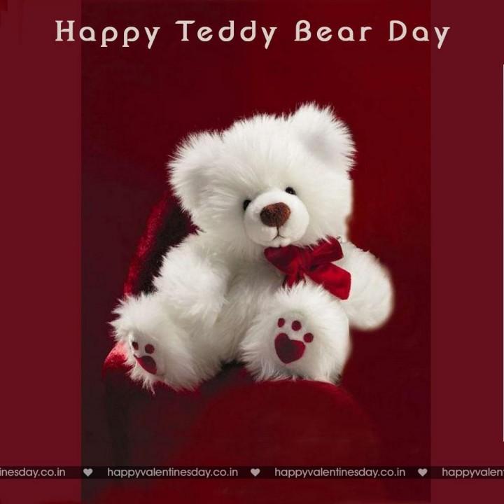 Teddy Day Valentine 102