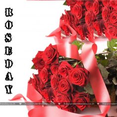 Rose Day