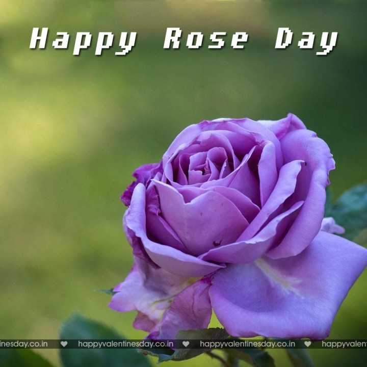 Rose Day – happy valentines day daddy
