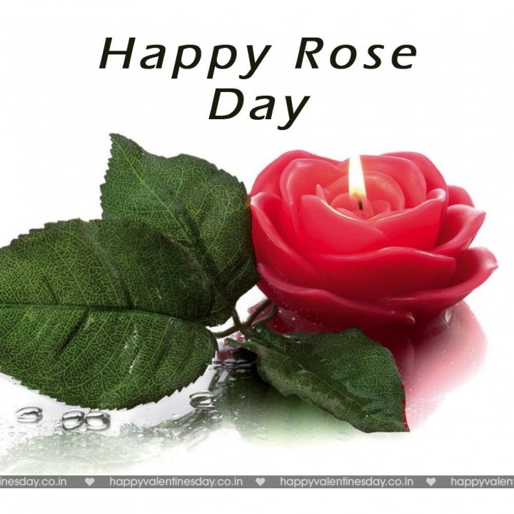 Rose Day – happy valentines day ecards