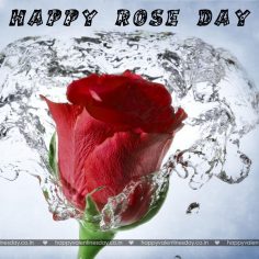 Rose Day – valentines day card