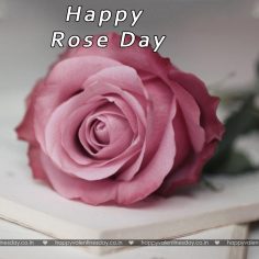 Rose Day – happy valentines day son