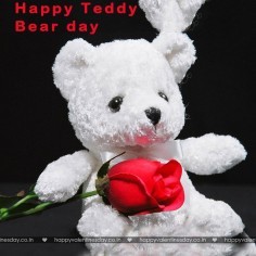 Teddy Day Valentine 90