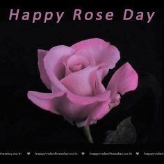 Rose Day – happy valentines day meme