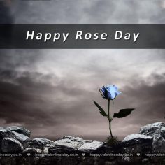 Rose Day – happy valentines day wishes