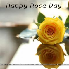 Rose Day – happy valentines day images