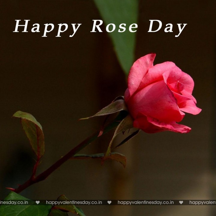 Rose Day – free happy valentines day cards