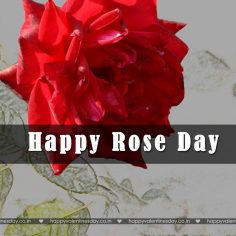 Rose Day – happy valentines day in german