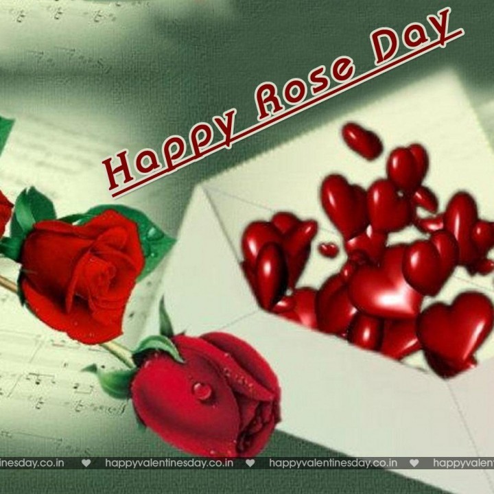 Rose Day