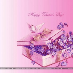 Valentine Day Messages Valentine 11