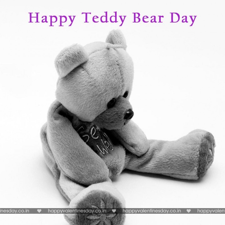 Teddy Day Valentine 120