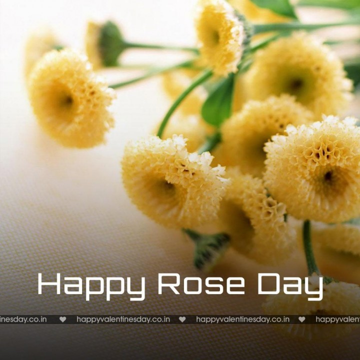 Rose Day