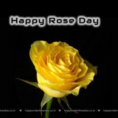 Rose Day – easter cards