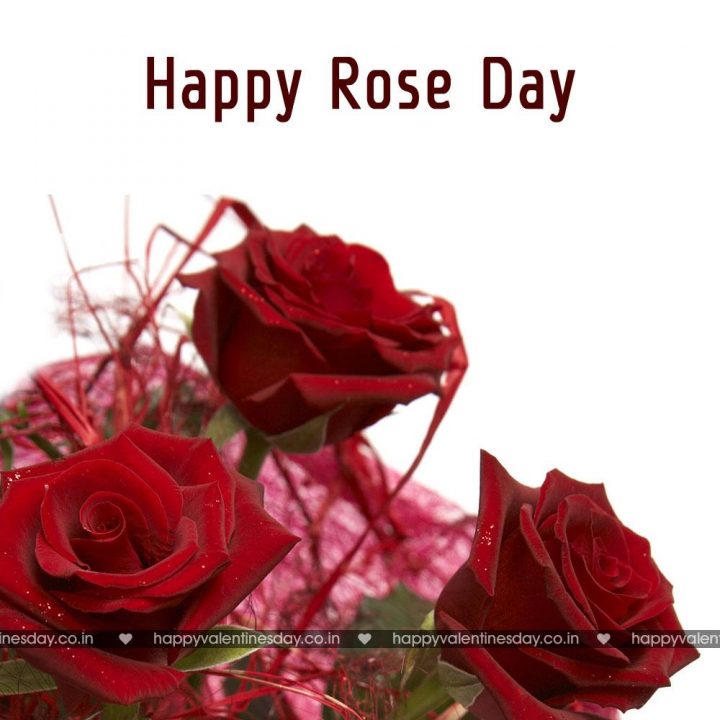 Rose Day