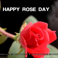 Rose Day – free egreetings