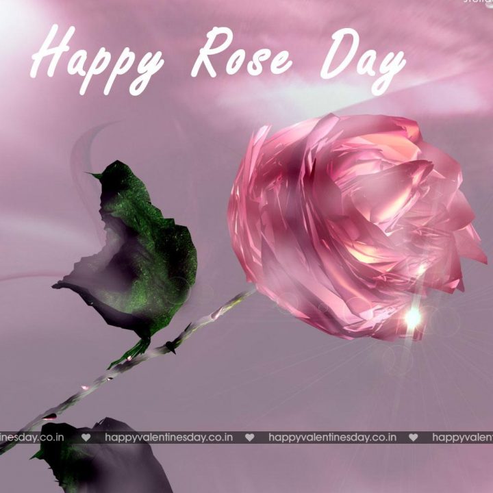 Rose Day