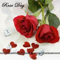 Rose Day