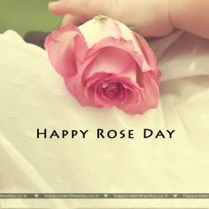 Rose Day – free greetings cards