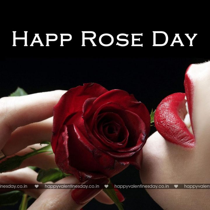Rose Day