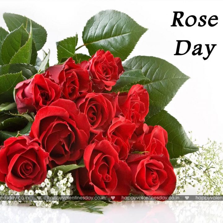 Rose Day
