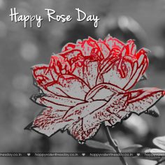 Rose Day – valentines cards
