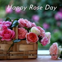 Rose Day
