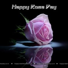 Rose Day – e valentine cards