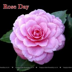 Rose Day – free ecards uk