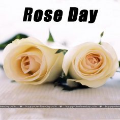 Rose Day
