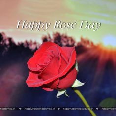 Rose Day – happy valentines day heart