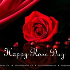 Rose Day – free valentines day card