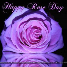 Rose Day – happy valentines day sign