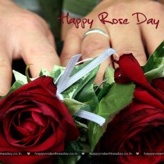 Rose Day – quotes for valentines day cards