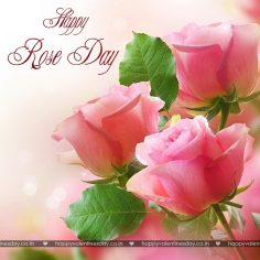 Rose Day – happy valentines day animation