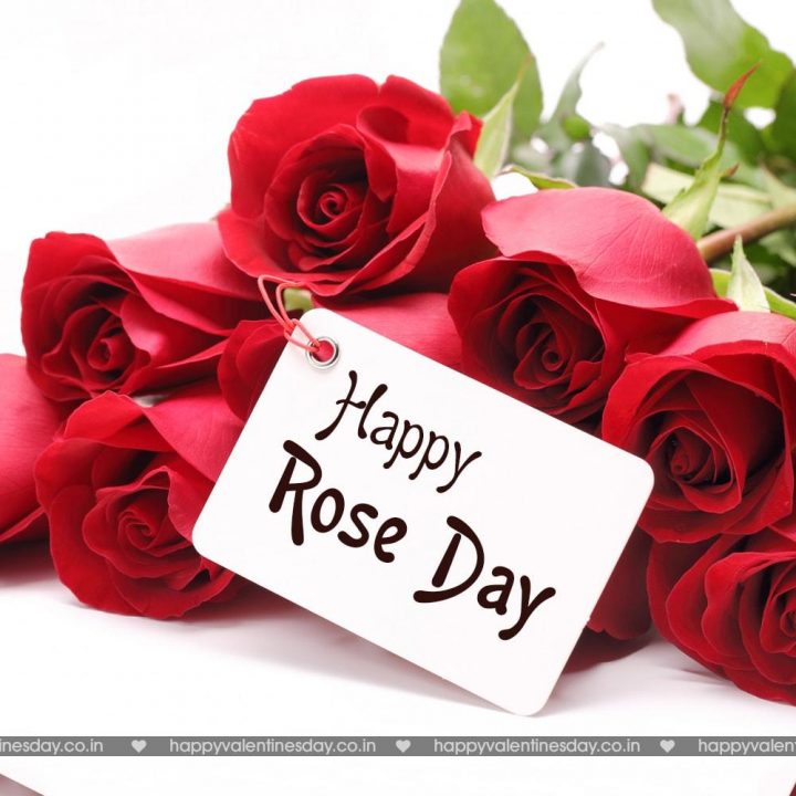 Rose Day – happy valentines day letter