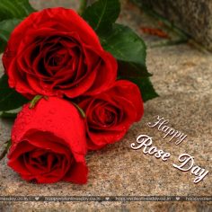 Rose Day – easter greeting cards