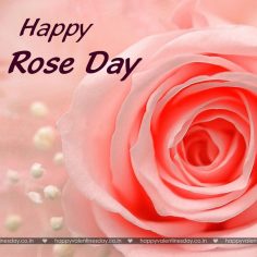 Rose Day – funny cards