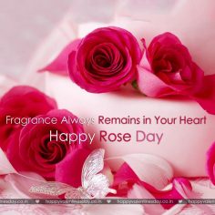 Rose Day – happy valentine day pics download